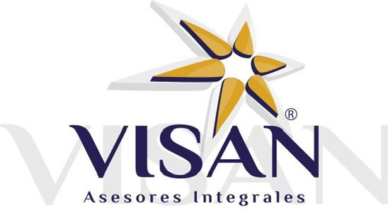 Visan Asesores Integrales S.C.